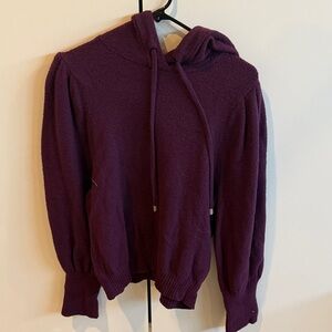 Purple Express Rhinestone Hooded Sweater